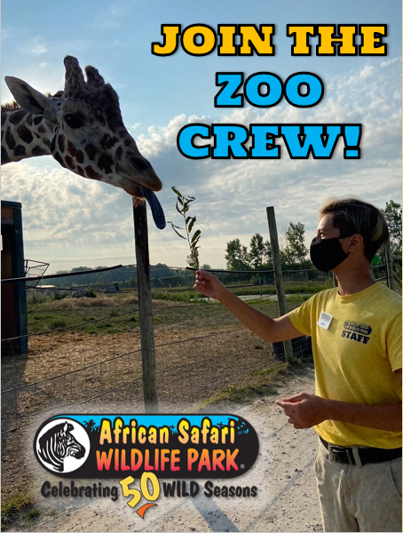 african safari wildlife park toledo