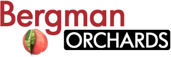 Bergman Orchards logo