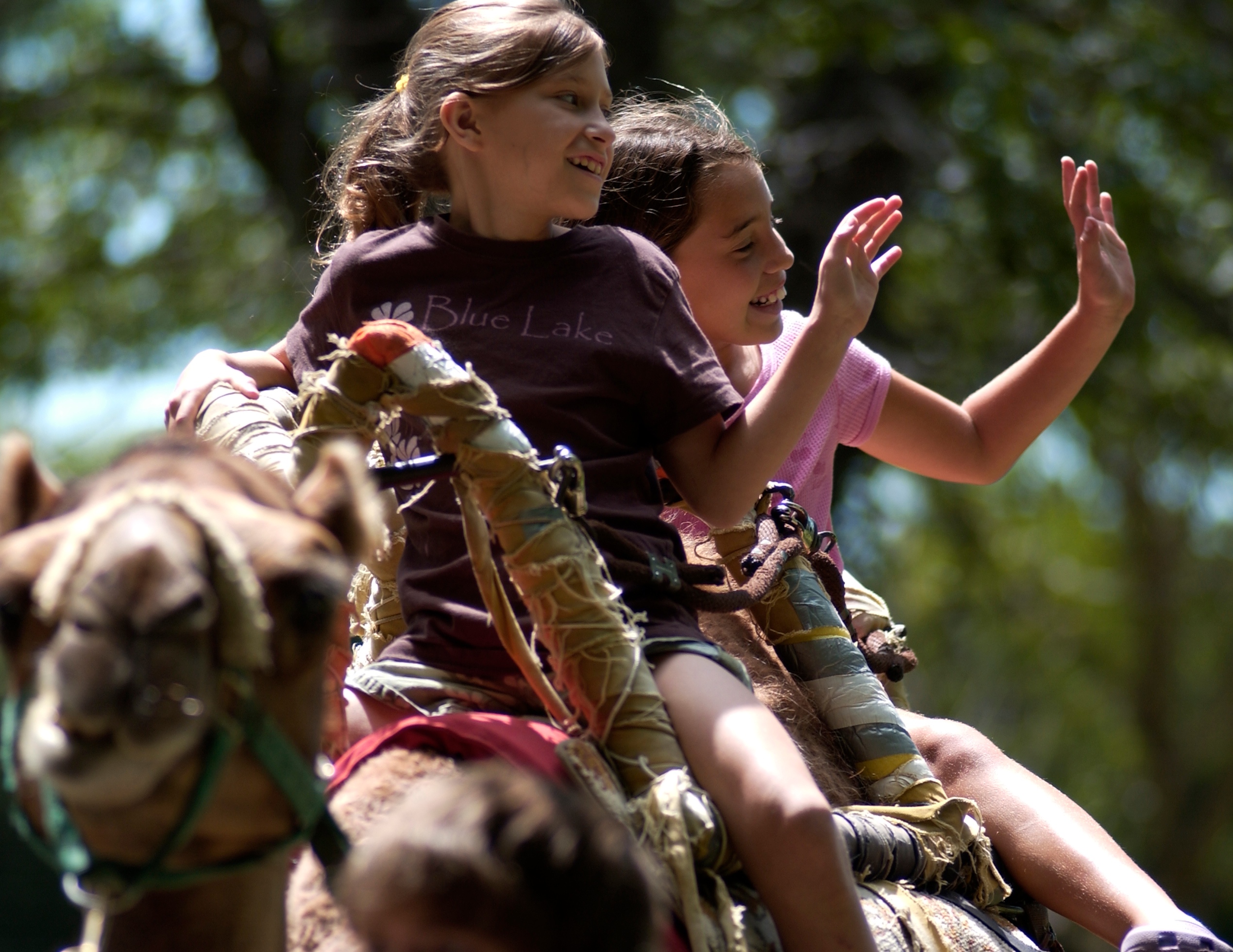 Animal Encounters - Camel Rides