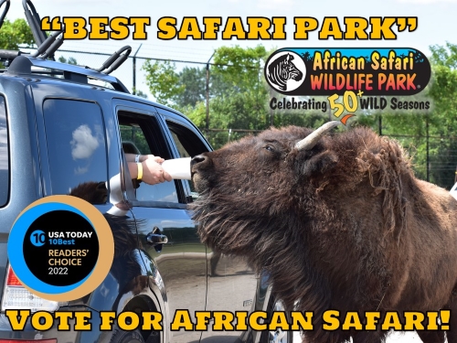 Vote for African Safari Wildlife Park! - African Safari Wildlife Park Vote for African Safari Wildlife Park! - African Safari Wildlife Park