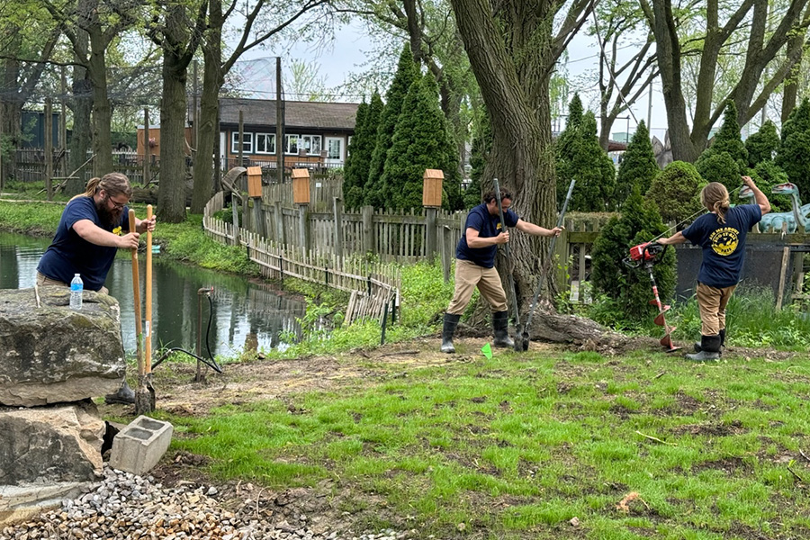 habitat construction